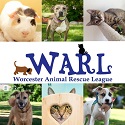 Shrewsbury Animal Shelter